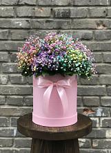 Цветочная композиция из Гипсофила и Розы в шляпной коробке в Верхней Салде