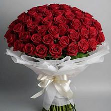 Букет 101 Красная роза Блэк Мэджик в Верхней Салде