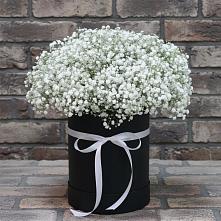 Цветочная композиция из Гипсофила в шляпной коробке в Верхней Салде