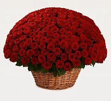 Премиум букет из: Розы в Верхней Салде